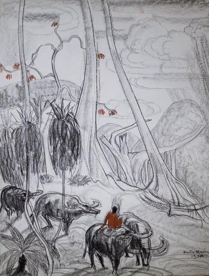 André MAIRE (1898 - 1984) Paysage aux buffles dans la forêt vietnamienne.
Fusain...