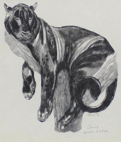 Paul JOUVE (1878 - 1973) Panthère branchée.
Lithographie originale. Epreuve d'artiste...