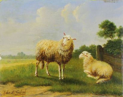 Arthur DE WAERHERT (1881 - 1944) Deux moutons.
Huile sur panneau signé en bas à gauche.
11...