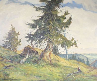 Wilhelm WICKERTSHEIMER (1885 - 1968) Paysage de montagne.
Huile sur panneau signé...