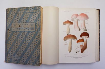 null Léon ROLLAND. Atlas des champignons de France, Suisse et Belgique. Paris, Klincksieck,...