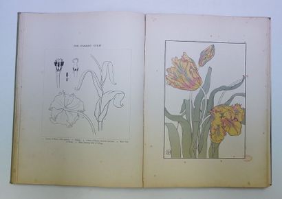 null Jeanie FOORD. Decorative flower studies for the use of artists… Londres, Batsford,...