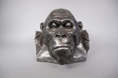 null Samuel BOULESTEIX (1973)
Tête de gorille.
Sculpture en résine. Editions Atelier...