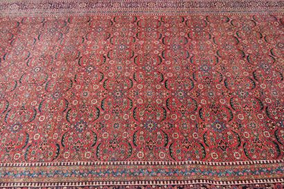 null Important tapis persan en laine à motifs de palmes et fleurs sur fond rouge.
H...