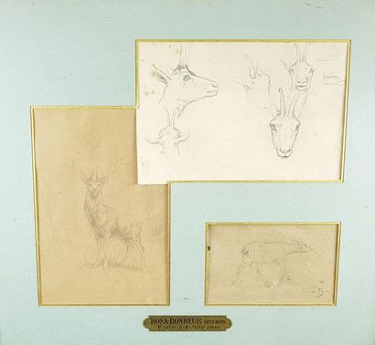 null Rosa BONHEUR (1822-1899)
Etude de chamois, cerf et biche.
Trois dessins à la...