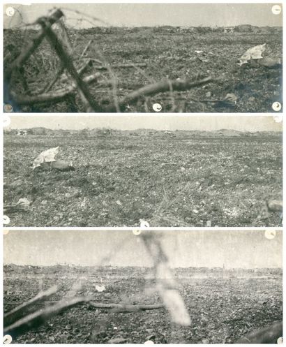 Photographe non identifié Première guerre mondiale, 1914-1918 11 photographies panoramiques...
