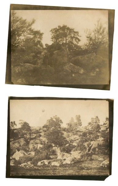 Gustave LE GRAY (Villiers-le-Bel 1820-Le Caire 1884) Forêt de Fontainebleau, 2 photographies...