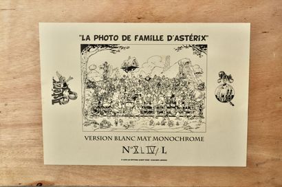 null UDERZO

"Asterix and Obelix, the family photo

Pixi.

White monochrome version...