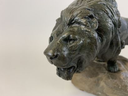 null Prosper LECOURTIER (1855-1924)
"Lion rugissant"
Bronze à patine brun vert sur...