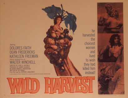 Jerry A. Baerwitz Wild harvest. Affiche américaine de film. H: 56 cm x L: 71 cm....