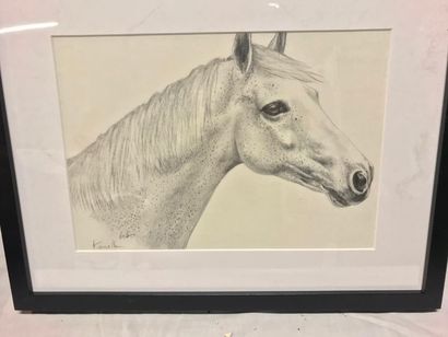 null Astrid COLLET (10th century)

"Kanelle" Pony

Pencil drawing on paper, signed...
