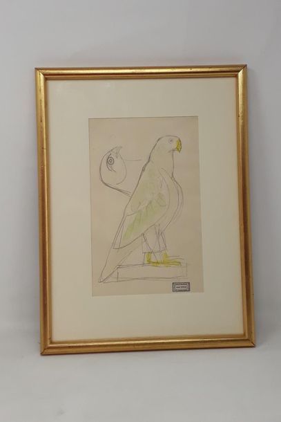 null André DERAIN (1926-1954)

"Parrot study"

Pencil lead and watercolour, signed...