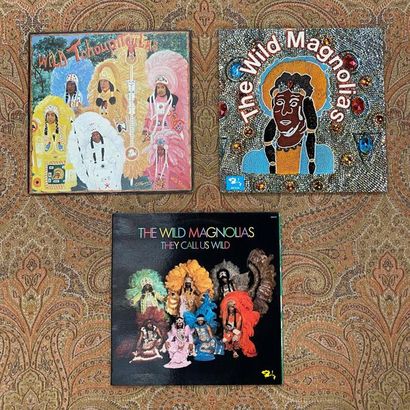 Soul/Funk 3 x Lps - The Wild Magnolias et Wild Tchoupitoulas

Original French Pressings

VG+...