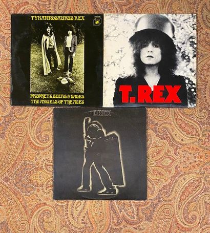 Pop 70's 3 disques 33 T - T-Rex

VG à VG+; VG à EX
