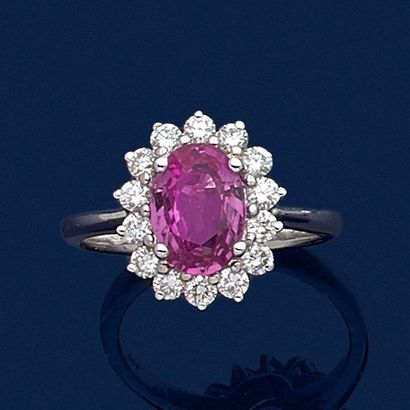 null Daisy" ring in white gold (750‰) set with a 2-carat pink sapphire surrounded...