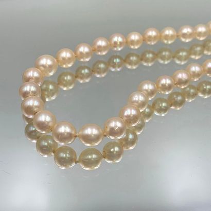 null NECKLACE made up of a row of falling white cultured pearls. White gold clasp...