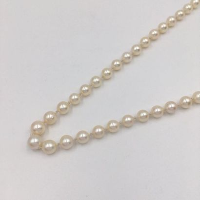 null NECKLACE made up of a row of white cultured pearls. White gold "shuttle" clasp...