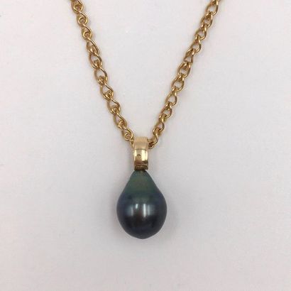 null CHAINET in yellow gold (750 thousandths) holding a PENDANT pearl of grey Tahitian...