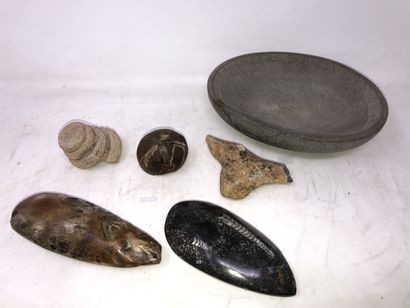 null Lot : fossiles, bois fossilisé, minéraux, pierres dures, ….