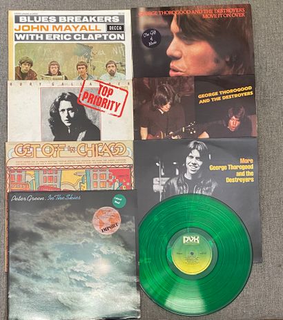 BLUES Sept disques 33T - Blues blanc

dont Peter Green, vinyle vert

VG+ à NM; VG+...
