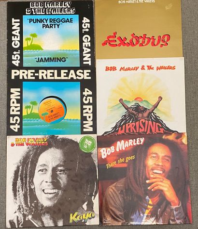 Raggae Six disques maxi 45T/33T - Bob Marley

VG+ à NM; VG+ à NM