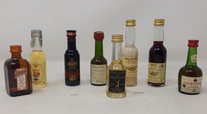 SPRIRITUEUX Lot de huit (8) mignonnettes - cointreau, limoncello, liqueur de mirabelle,...