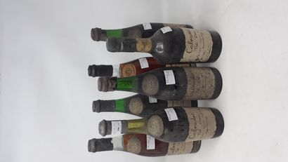 SPRIRITUEUX Sept (7) bouteilles - Calvados Ciré Hors d'âge, antérieur à 1971, J....