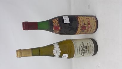 LOIRE Lot de deux (2) bouteilles:

- Une (1) bouteille - Muscadet Sèvres et Maine...