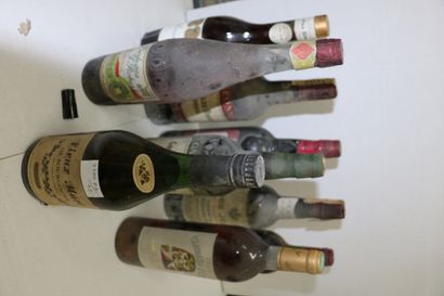 SPRIRITUEUX Lot de neuf bouteilles:

- Deux (2) bouteilles - Xeres Gonzalez Byan...