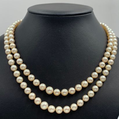 NECKLACE composed of two rows of cream cultured...