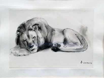 null 
Jean GRAVES (né en 1897)
"Lion dormant"
Encre de chine et lavis sur papier,...