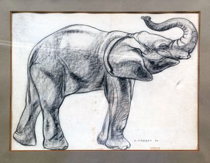 null 
André MARGAT (1903-1999)
"Eléphant trompe relevée"
Crayon et fusain sur papier,...