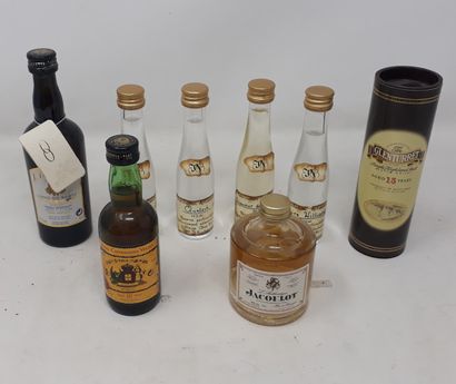 ALCOOL & Lot de huit (8) mignonnettes - poire Williams, liqueur Williams, franboise,...