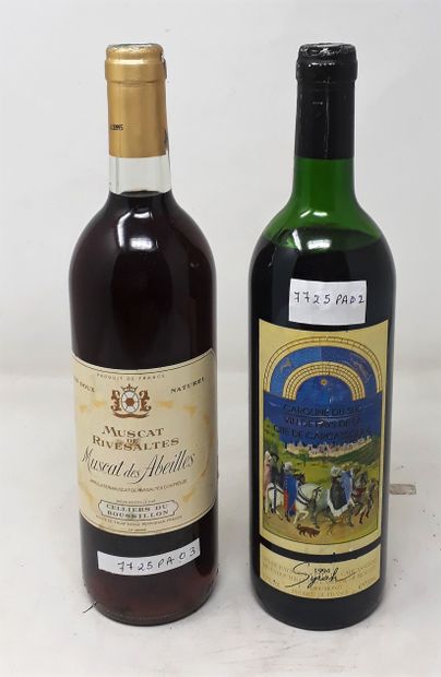 SUD Lot of two (2) bottles:

- One (1) bottle - Vin de Pays de Carcassonne, 1994,...