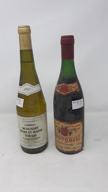 LOIRE Lot of two (2) bottles:

- One (1) bottle - Muscadet Sèvres, 1995, Saumon et...