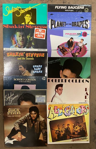 Rock & Roll Eleven LPs - Rock & Roll/Rockabilly

VG+ to NM; VG+ to NM