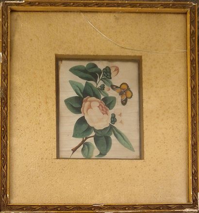 null Ecole asiatique du XXe siècle

"Fleurs de camélia au papillon"

Peinture sur...