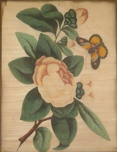 null Ecole asiatique du XXe siècle

"Fleurs de camélia au papillon"

Peinture sur...
