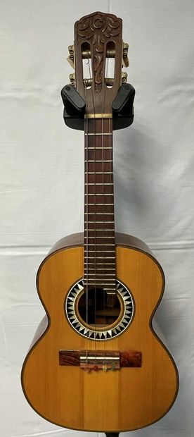 null UKULELE, GIANNINI

Mini acoustic guitar with four strings, made in Brazil

(small...