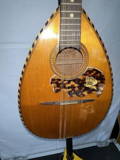 null 
MANDOLIN, PAUL BEUSHER

Wood and inlay in composition

(cracked case, traces...