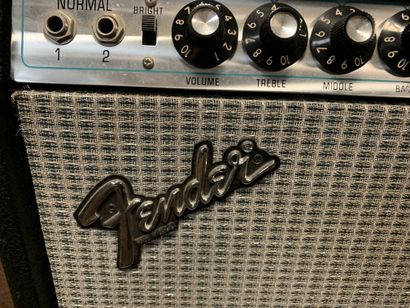 null 
COMBO GUITARE à lampes, FENDER TWIN REVERB avec 2 x Hp 12'' ELECTROVOICE




n°A832749




(traces...