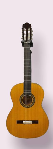 null GUITARE ACOUSTIQUE, MORRIS 6 cordes

Bois vernis, n° G 205/1977, made in Japan

(petites...