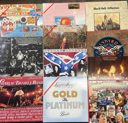 Rock Sudiste 11 x Lps - Southern Rock

VG (trace of red felt on the front of x covers)...