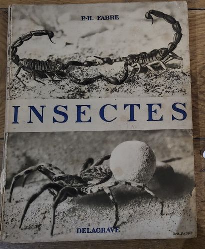 Science FABRE Ph., 

Insectes, préface du Docteur J.V. Legros, 96 planches en photogravures....