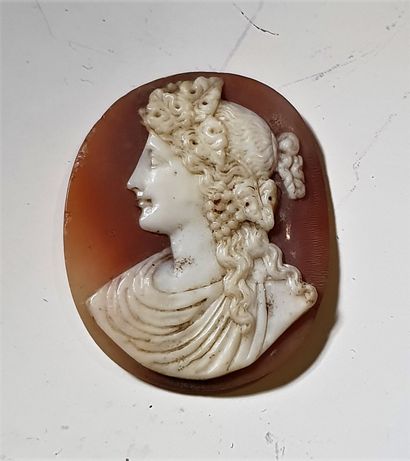 null Shell cameo decorated with a woman's profile in the antique style

3,3 x 

3...
