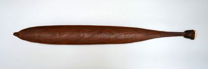 null SPEAR THROWER / WOOMERA

Western Australian spear thrower made of hardwood stained...
