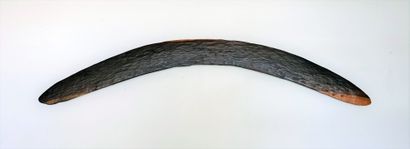 null BOOMERANG made of hardwood, certainly carved with stone tools. Some incised...