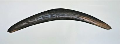 BOOMERANG decorated with wavy incised lines...