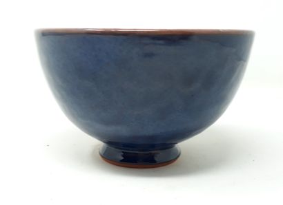 null BESSON Jean-Claude

Ceramic bowl with blue decoration, signed and n°162 under...