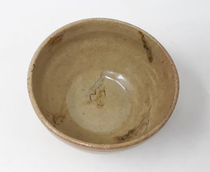  BALAŸ Pascale 
Stoneware bowl with vegetal decoration, signed in hollow and n°239...